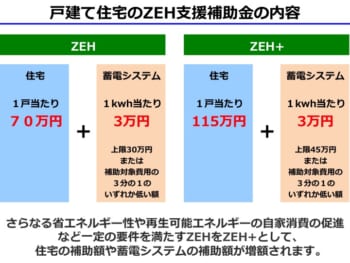 サンプル